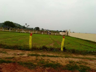 Residential Plot 106 Sq. Yards for Sale in Agiripalli, Vijayawada