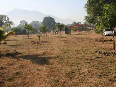Agricultural Land 10900 Sq.ft. for Sale in