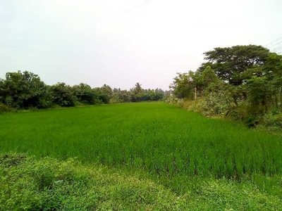110 Cent Commercial Land for Sale in Alanganallur, Madurai