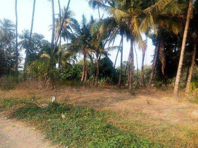 Agricultural Land 1100 Sq. Meter for Sale in