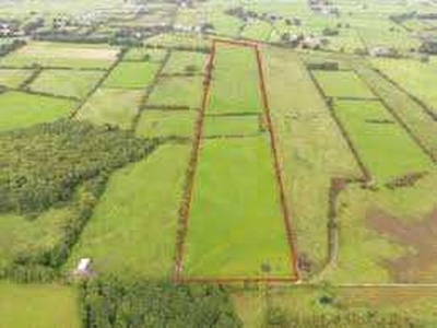 Agricultural Land 12 Acre for Sale in Rampur Road, Moradabad