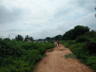 Industrial Land 12 Acre for Sale in Herohalli, Bangalore