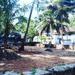 Residential Plot 12 Cent for Sale in Mavoor Road, Kozhikode