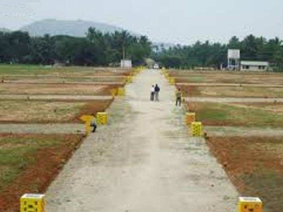 Residential Plot 120 Sq. Yards for Sale in Pari Chowk, Greater Noida