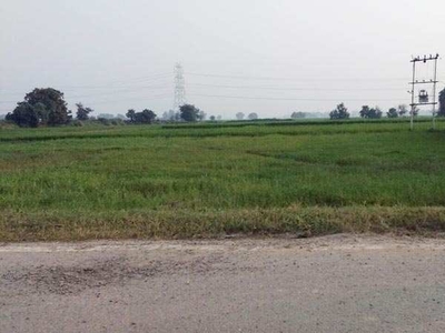 Residential Plot 1200 Sq.ft. for Sale in Digha, Patna