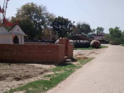 1200 Sq.ft. Residential Plot for Sale in Jhusi, Allahabad