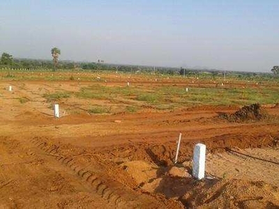 Residential Plot 1200 Sq.ft. for Sale in Tedhi Pulia,