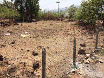 Agricultural Land 12000 Sq.ft. for Sale in Alibag, Raigad