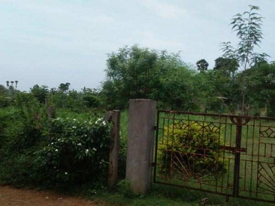 Residential Plot 1209 Sq. Yards for Sale in