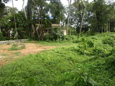 Residential Plot 13 Cent for Sale in