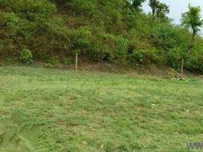 Agricultural Land 14 Acre for Sale in