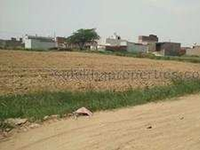 Agricultural Land 14 Acre for Sale in Najafgarh Nangloi Road,