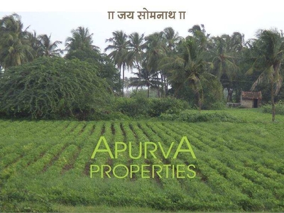 Agricultural Land 15 Guntha for Sale in