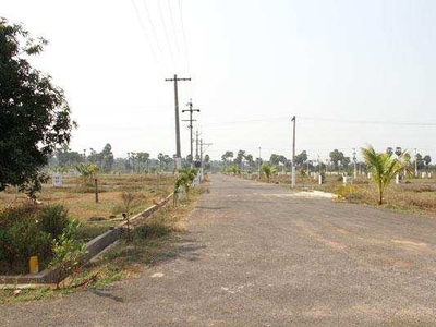 Residential Plot 150 Sq. Yards for Sale in Polipalli, Visakhapatnam