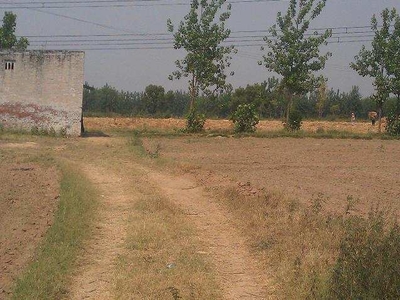 Commercial Land 1550 Sq.ft. for Sale in Aliganj, Lucknow