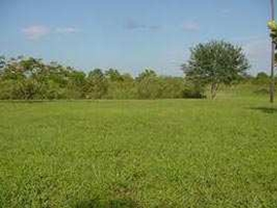 Commercial Land 160 Cent for Sale in Mannarkkad, Palakkad