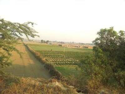 Agricultural Land 1600 Sq. Yards for Sale in