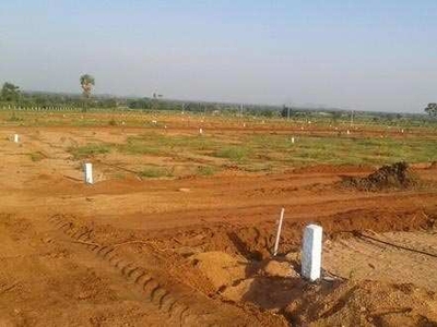 Agricultural Land 167 Sq. Yards for Sale in