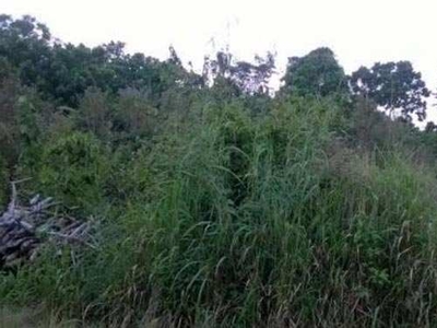 Agricultural Land 17 Acre for Sale in