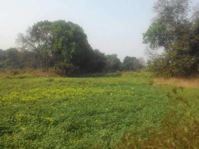 Agricultural Land 180 Guntha for Sale in