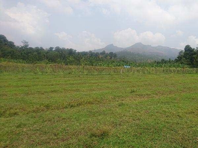 Agricultural Land 2 Acre for Sale in Gudalur The Nilgiris