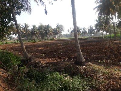 Agricultural Land 2 Acre for Sale in Mysore Banglore Highway