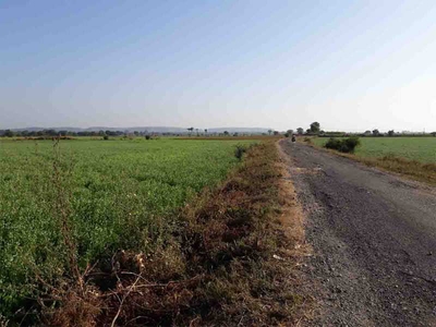 Agricultural Land 2 Ares for Sale in Jabera, Damoh