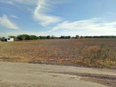 Agricultural Land 2 Bigha for Sale in Rajgarh, Alwar