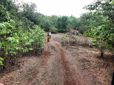 Agricultural Land 20 Acre for Sale in Turner Road, Mumbai