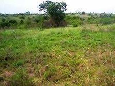 Agricultural Land 200 Acre for Sale in Madampatti, Coimbatore