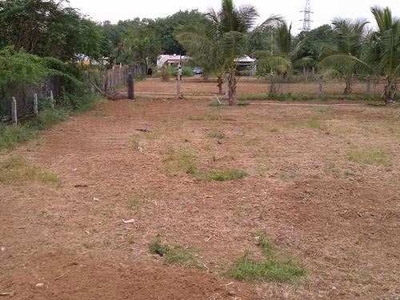 Agricultural Land 200 Acre for Sale in Sihora, Jabalpur