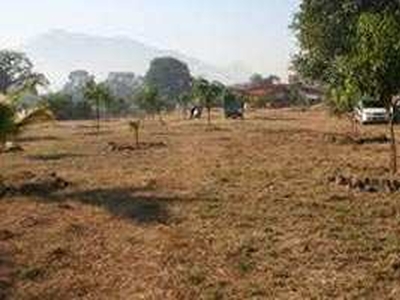 200 Acre Agricultural Land for Sale in Vijay Nagar, Jabalpur