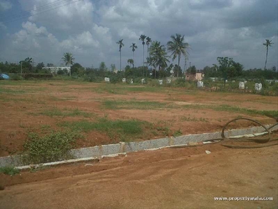 Residential Plot 200 Sq. Yards for Sale in