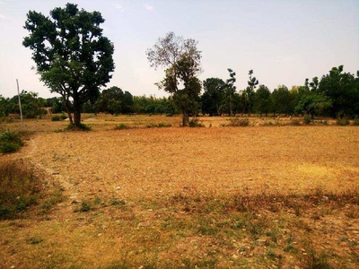 Residential Plot 2000 Sq. Meter for Sale in Dholas, Dehradun