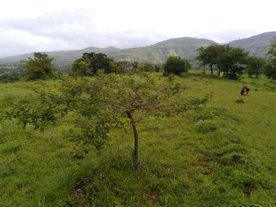 Agricultural Land 20000 Sq.ft. for Sale in