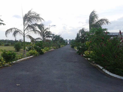 Agricultural Land 21 Cent for Sale in Madampatti, Coimbatore