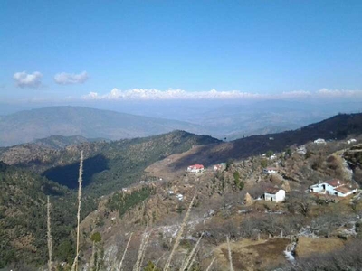 Commercial Land 21600 Sq.ft. for Sale in Dogaon, Nainital