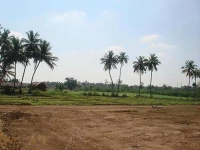 Commercial Land 22000 Sq.ft. for Sale in