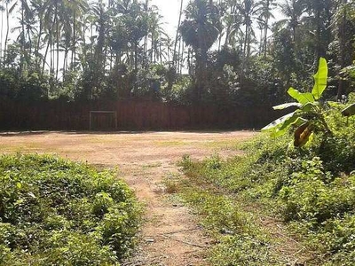 Commercial Land 25 Acre for Sale in Mavoor Road, Kozhikode