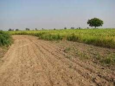 Residential Plot 25 Acre for Sale in