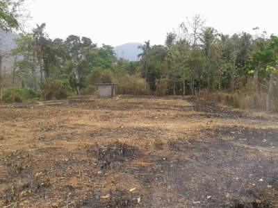 Residential Plot 25 Cent for Sale in Perinthalmanna, Malappuram