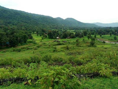 Agricultural Land 250 Ares for Sale in Sankarankoil, Tirunelveli
