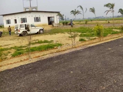 Residential Plot 267 Sq. Yards for Sale in Kirpal Nagar, Rohtak