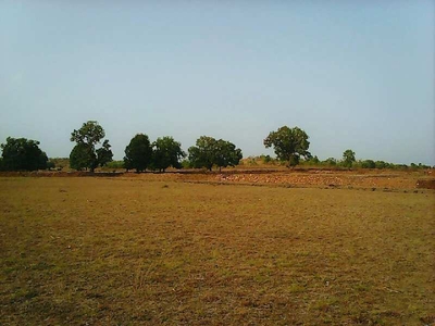 Agricultural Land 27 Bigha for Sale in Kayovarahn To Chatral Road Touch Vadodara