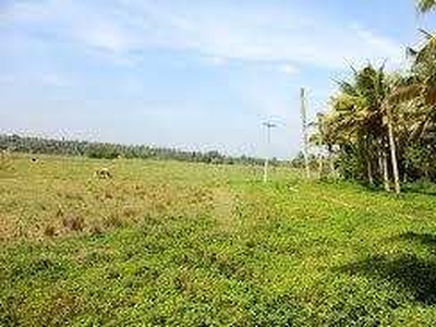 Agricultural Land 28 Acre for Sale in Jalna Road, Aurangabad