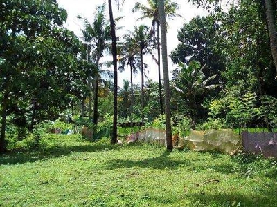 Residential Plot 28 Cent for Sale in Chalakudy, Kochi