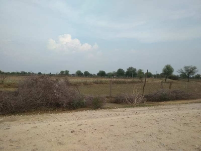Agricultural Land 28500 Sq. Yards for Sale in Rampura Road, Jaipur