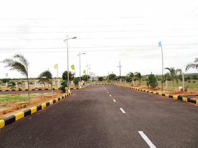 Residential Plot 2939 Sq.ft. for Sale in Chorala, Chandrapur