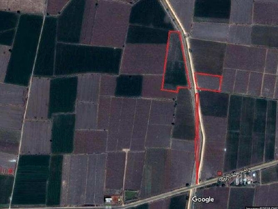 Agricultural Land 3 Acre for Sale in Gurazala, Guntur