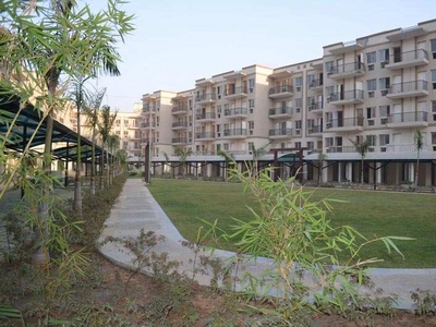 3 BHK Residential Apartment 1295 Sq.ft. for Sale in Sector 92 Gurgaon